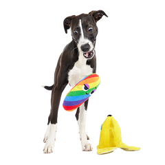 Top Banana Plush Multi-Part Dog Toy