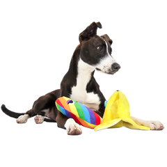 Top Banana Plush Multi-Part Dog Toy