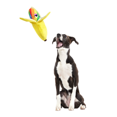 Top Banana Plush Multi-Part Dog Toy