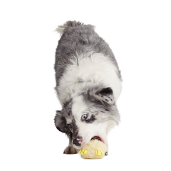 Tough Chick Super Chewer Durable 2-in-1 Dog Toy
