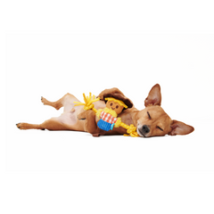 Not Scary Harry Plush Tug Dog Toy