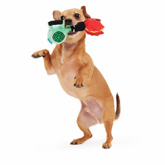 Leaf Blow-Wower Plush Tug Dog Toy
