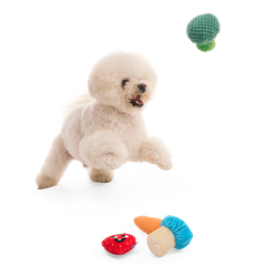 Veggie Patch Pals Plush Multi-Part Dog Toy