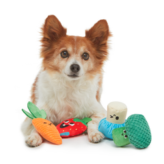 Veggie Patch Pals Plush Multi-Part Dog Toy