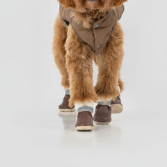The Stassi- Dog Snow Boots