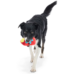 Wetted Willie Super Chewer Durable 2-in-1 Dog Toy