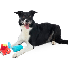 Wetted Willie Super Chewer Durable 2-in-1 Dog Toy
