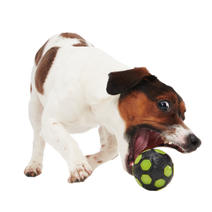 World Pup Snacker Ball Super Chewer Durable Enrichment + Fetch Dog Toy