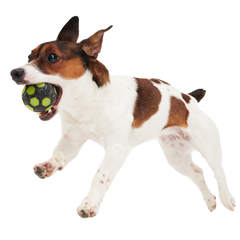 World Pup Snacker Ball Super Chewer Durable Enrichment + Fetch Dog Toy