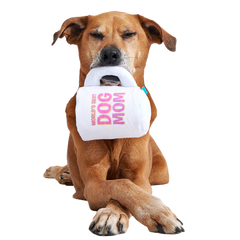 World's Best Dog Mom Mug Plush Tug Dog Toy