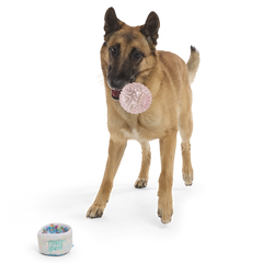 Yippin’ Spots Plush Multi-Part Fetch + Enrichment Dog Toy