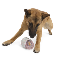 Yippin’ Spots Plush Multi-Part Fetch + Enrichment Dog Toy