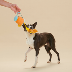 Dog Toddy