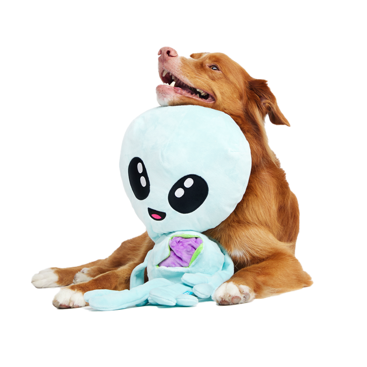 Alien Gnawtopsy Plush 2-in-1 + Tug + Enrichment + Multi-Part + XXL Dog Toy