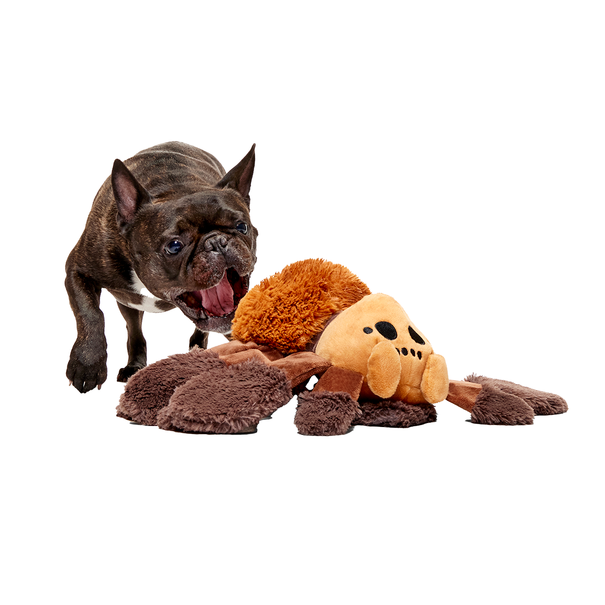 Aragog™ Plush Tug Extra-Large Dog Toy
