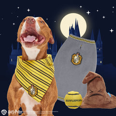 Hufflepuff™ Bundle