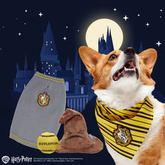 Hufflepuff™ Bundle