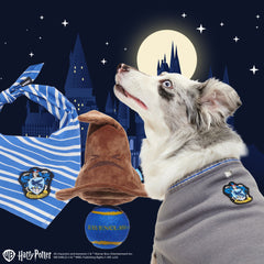 Ravenclaw™  Bundle