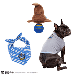 Ravenclaw™  Bundle