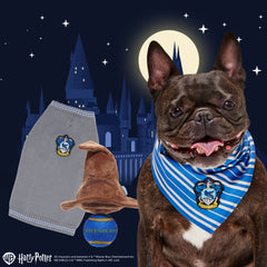 Ravenclaw™  Bundle