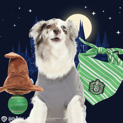 Slytherin™ Bundle