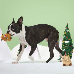 Rudolph® & Clarice™ Plush Multi-Part Dog Toy