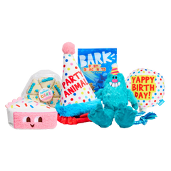 Bark 6 Month Subscription - The Birthday Box Double Deluxe First Box