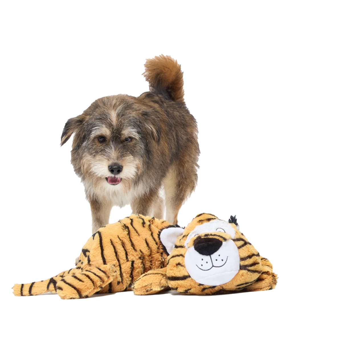 Benji the Bouncing Tiger Plush Extra-Large + Tug Dog Toy