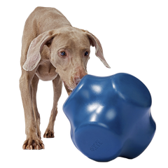 Bolder Super Chewer Durable Extra-Large Enrichment Dog Toy