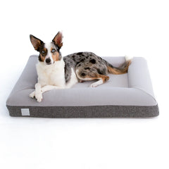 Medium Microfiber Orthopedic Dog Bed (Bolster, Essential / Gray)