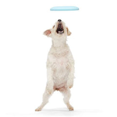Liftoff Durable Super Chewer Fetch Dog Toy