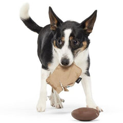 Jitter Pug Coffee Bean Super Chewer Durable 2-in-1 Dog Toy