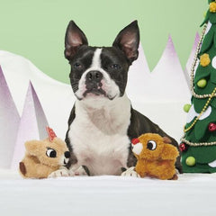 Rudolph® & Clarice™ Plush Multi-Part Dog Toy