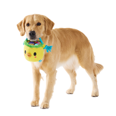 Chicky's Easter Candy Plush Tug Dog Toy