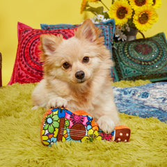 Guitar Licks Plush Dog Toy
