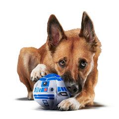 Chew Are My Only Hope Super Chewer Durable 2-in-1 + Fetch Dog Toy
