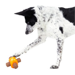 Chompfire Super Chewer Durable Gnaw Dog Toy