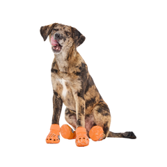 Crocs™ Shoes For Dogs (Copy)
