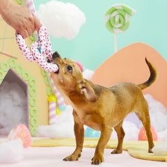 Puppermint Bark Pretzel Tug Dog Toy