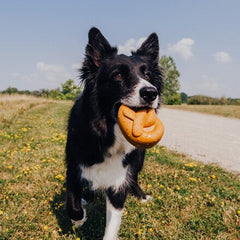 Barkvarian Pretzel Durable Super Chewer Dog Toy