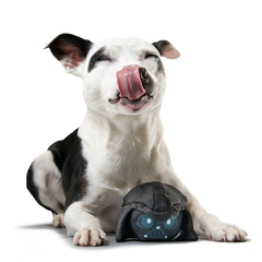 Power of the Bark Side Super Chewer Durable 2-in-1 + Fetch Dog Toy