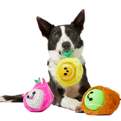 Fruity Cutie Tropical Trio Plush Multi-Part + Fetch Dog Toy