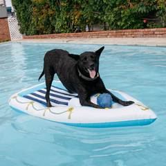 FUNBOY Yacht Dog Float