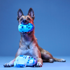 The Droid You're Looking For Plush 2-in-1 + Fetch Dog Toy