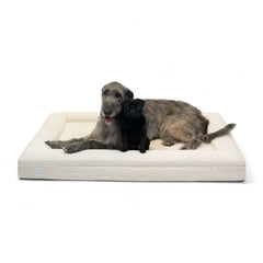 Extra Large Bouclé Orthopedic Dog Bed (Bolster, Cloud)
