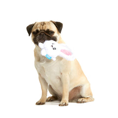 Esther Bunny Plush 2-in-1 Rip and Reveal Dog Toy