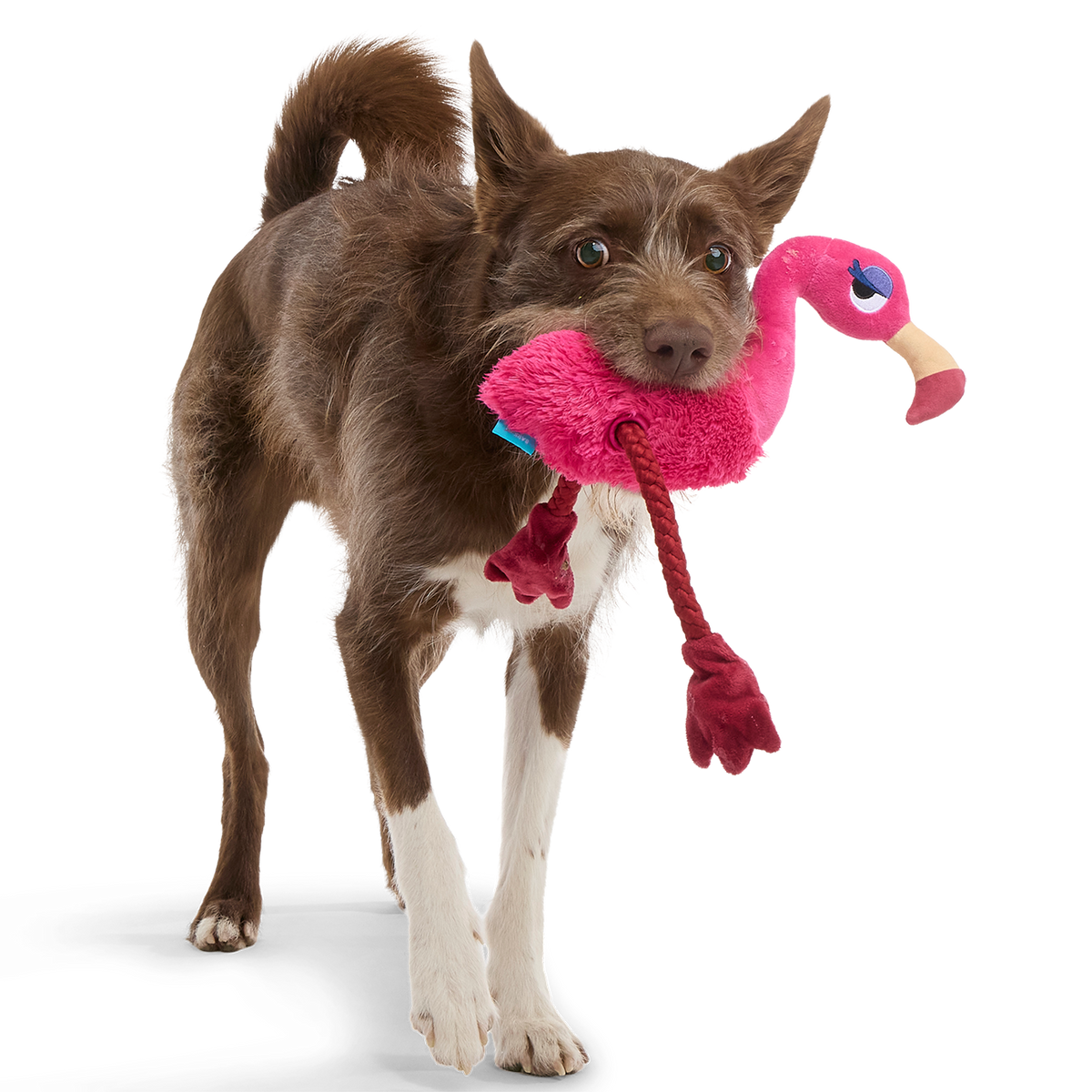 Fahari Flamingo Plush Tug Dog Toy