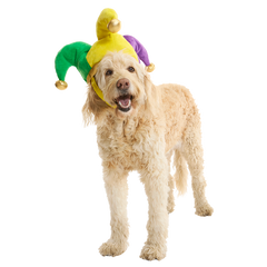 Fat Chewsday Hat Plush Wearable Tug Dog Toy