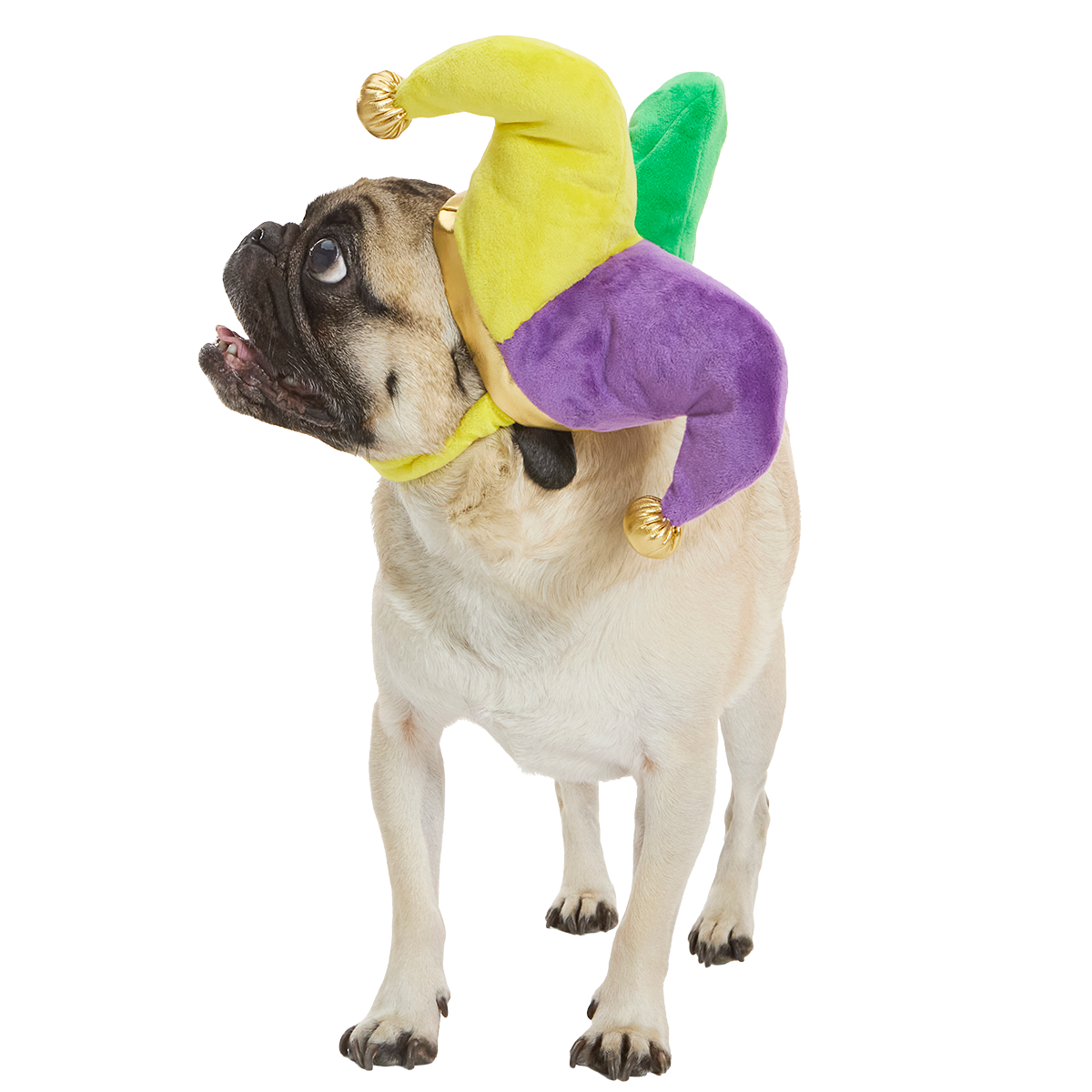 Fat Chewsday Hat Plush Wearable Tug Dog Toy