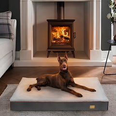 Flat Orthopedic Dog Bed
